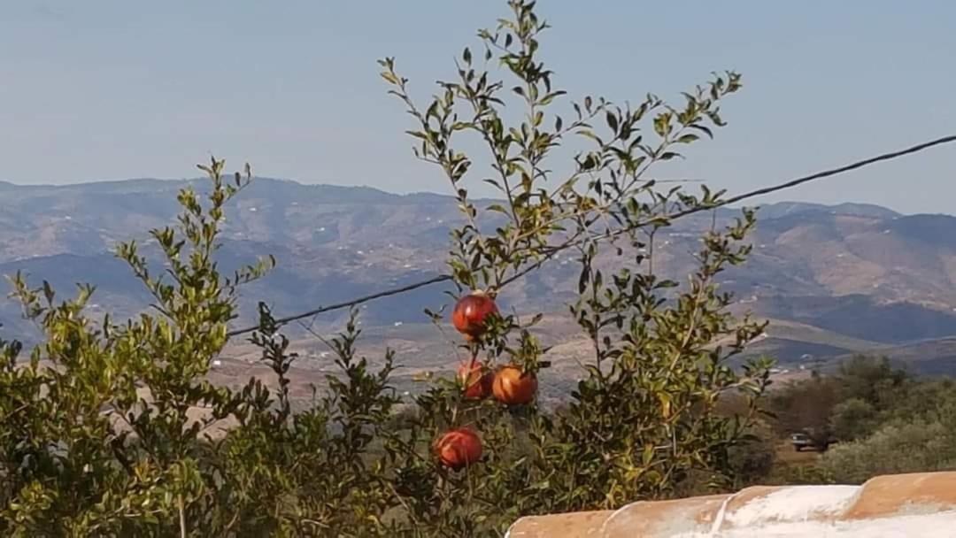 Casa Shyshka Country Cottage Periana Екстериор снимка