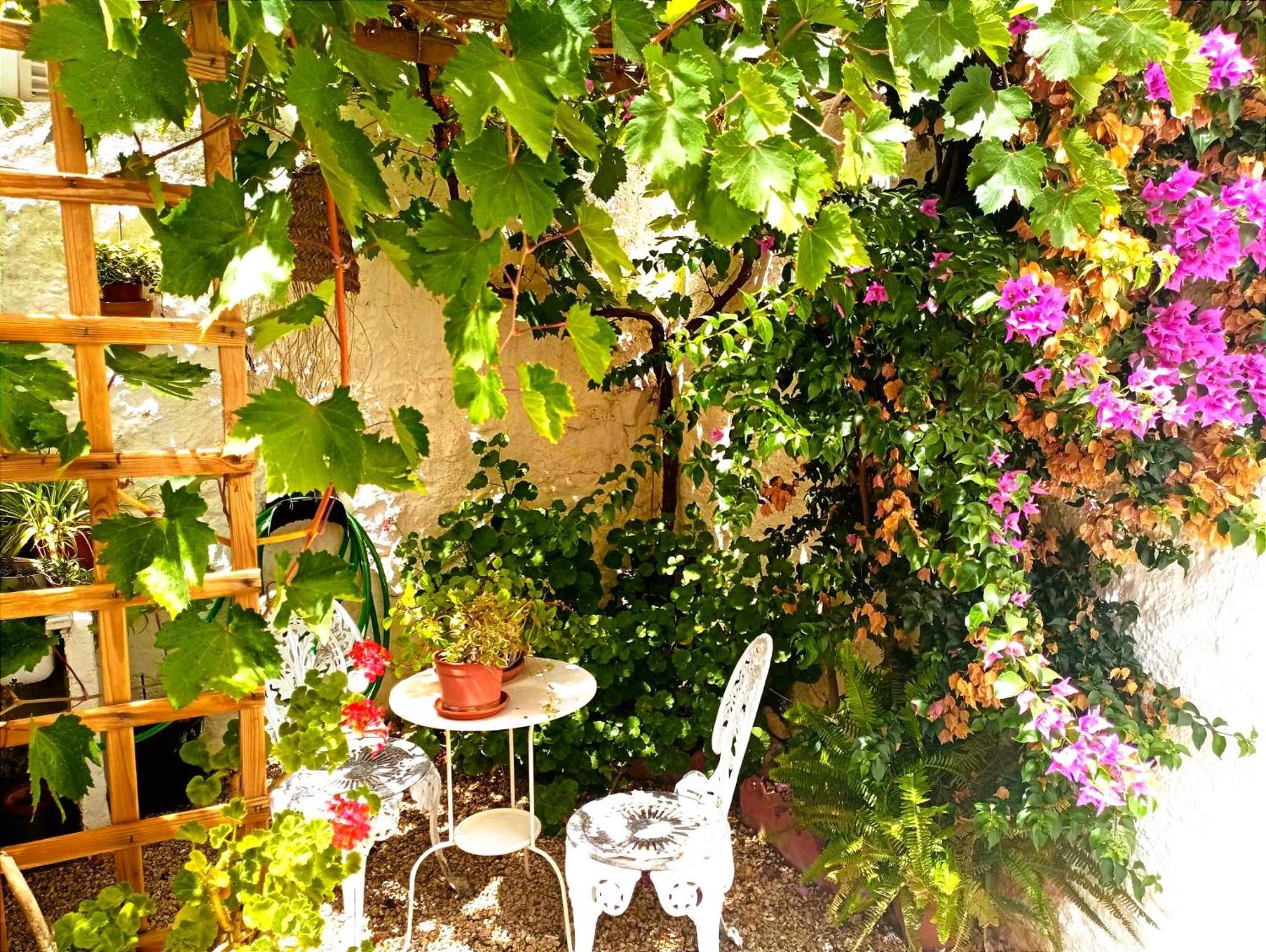 Casa Shyshka Country Cottage Periana Екстериор снимка