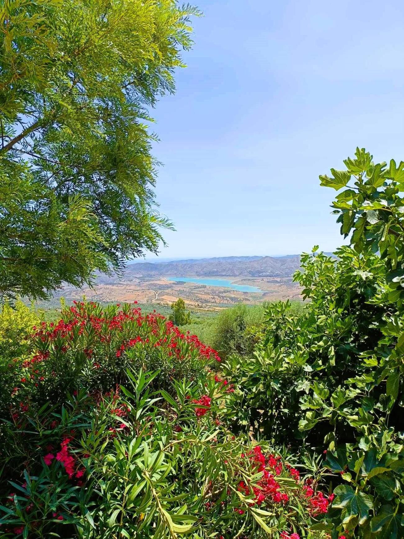 Casa Shyshka Country Cottage Periana Екстериор снимка