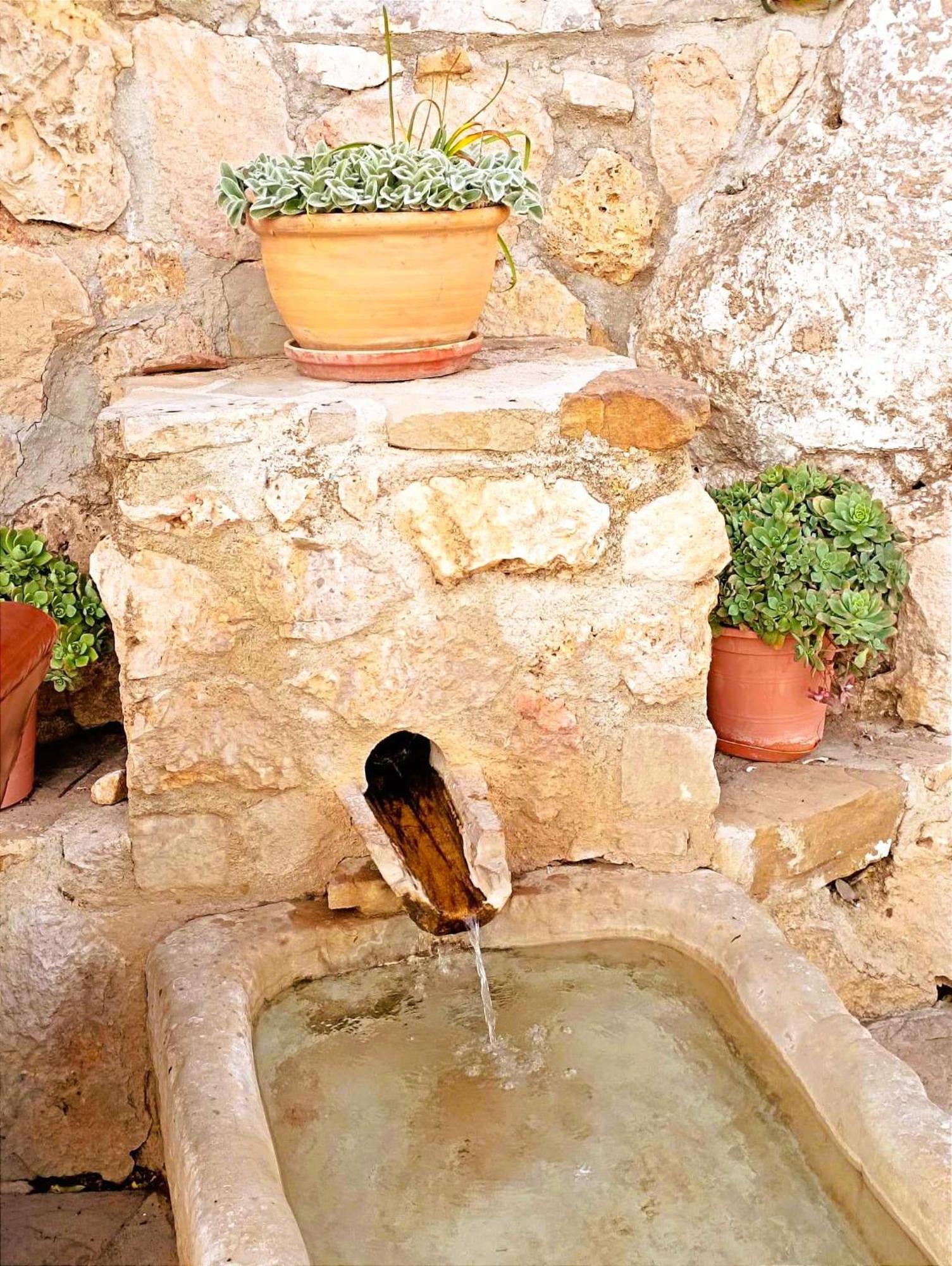 Casa Shyshka Country Cottage Periana Екстериор снимка