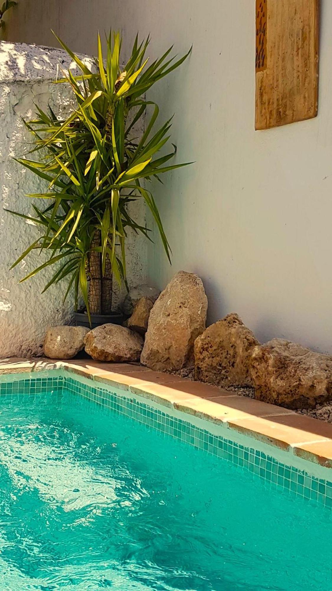 Casa Shyshka Country Cottage Periana Екстериор снимка